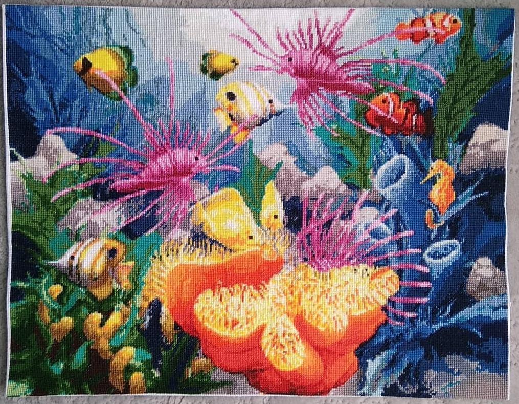 Изображение к отзыву Анна(@anna_nikitkina)